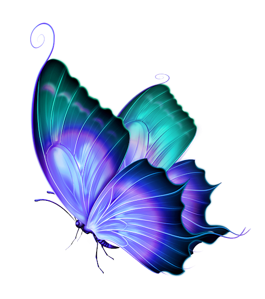 Schmetterling